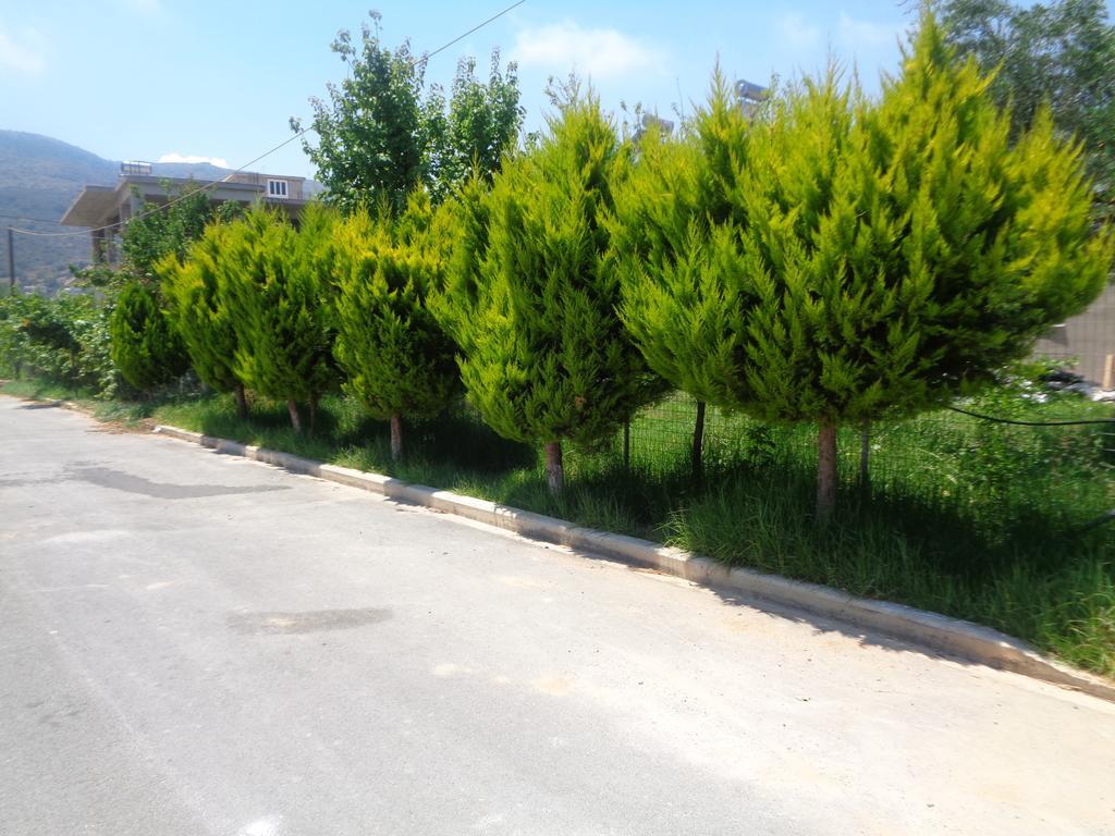 Creta Nostos Luxury Apartment Tsikalaria  外观 照片